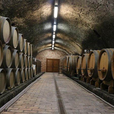 Villa Tolnay Vendeghaz Gyulakeszi Екстериор снимка