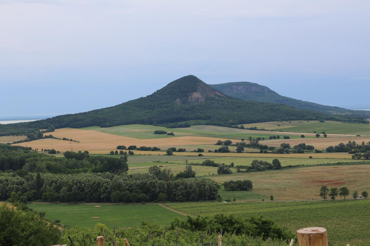 Villa Tolnay Vendeghaz Gyulakeszi Екстериор снимка