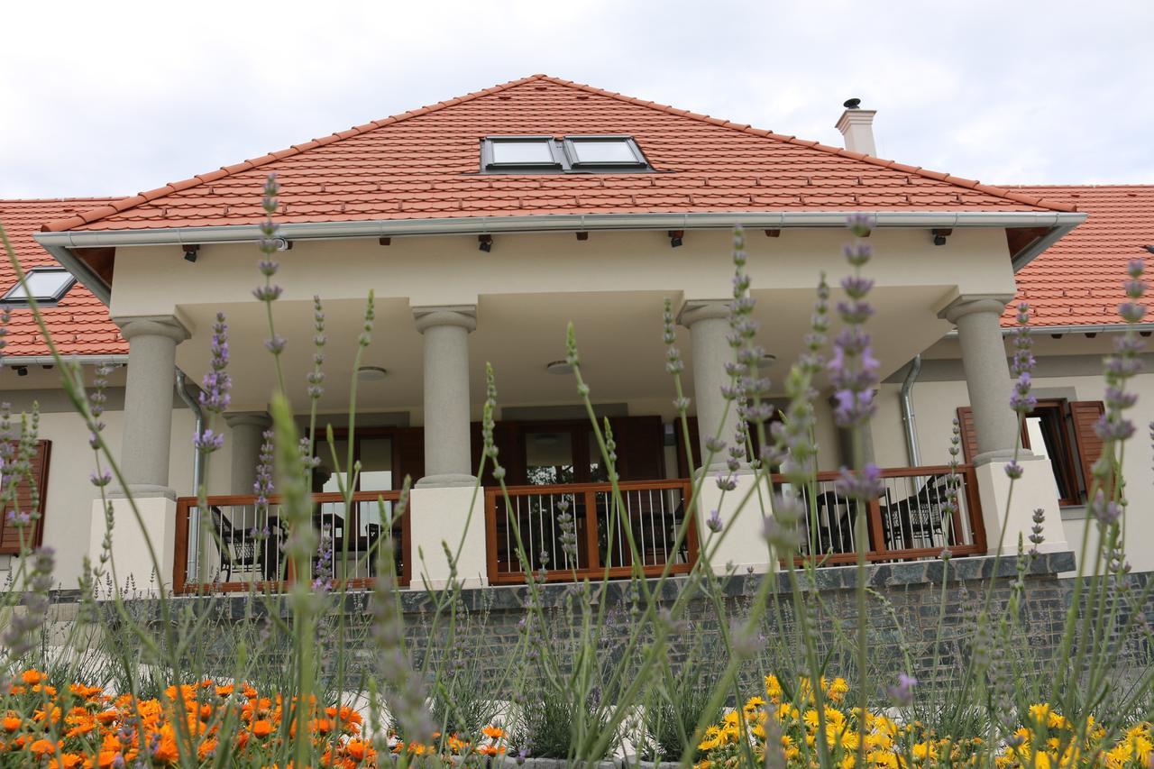 Villa Tolnay Vendeghaz Gyulakeszi Екстериор снимка